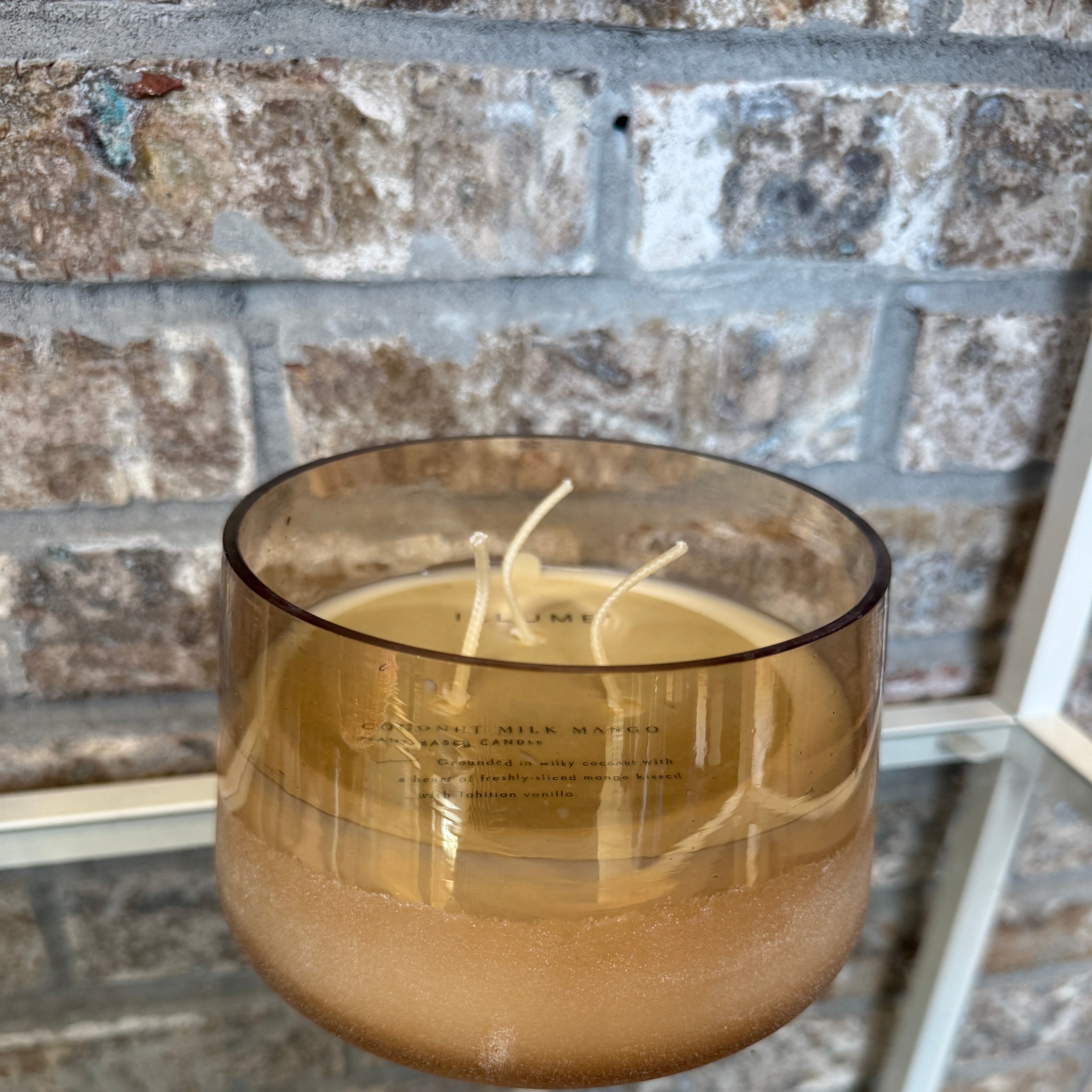 Illume Coconut Milk Mango Large Baltic Candle-Candles-Illume-The Silo Boutique, Women's Fashion Boutique Located in Warren and Grand Forks North Dakota