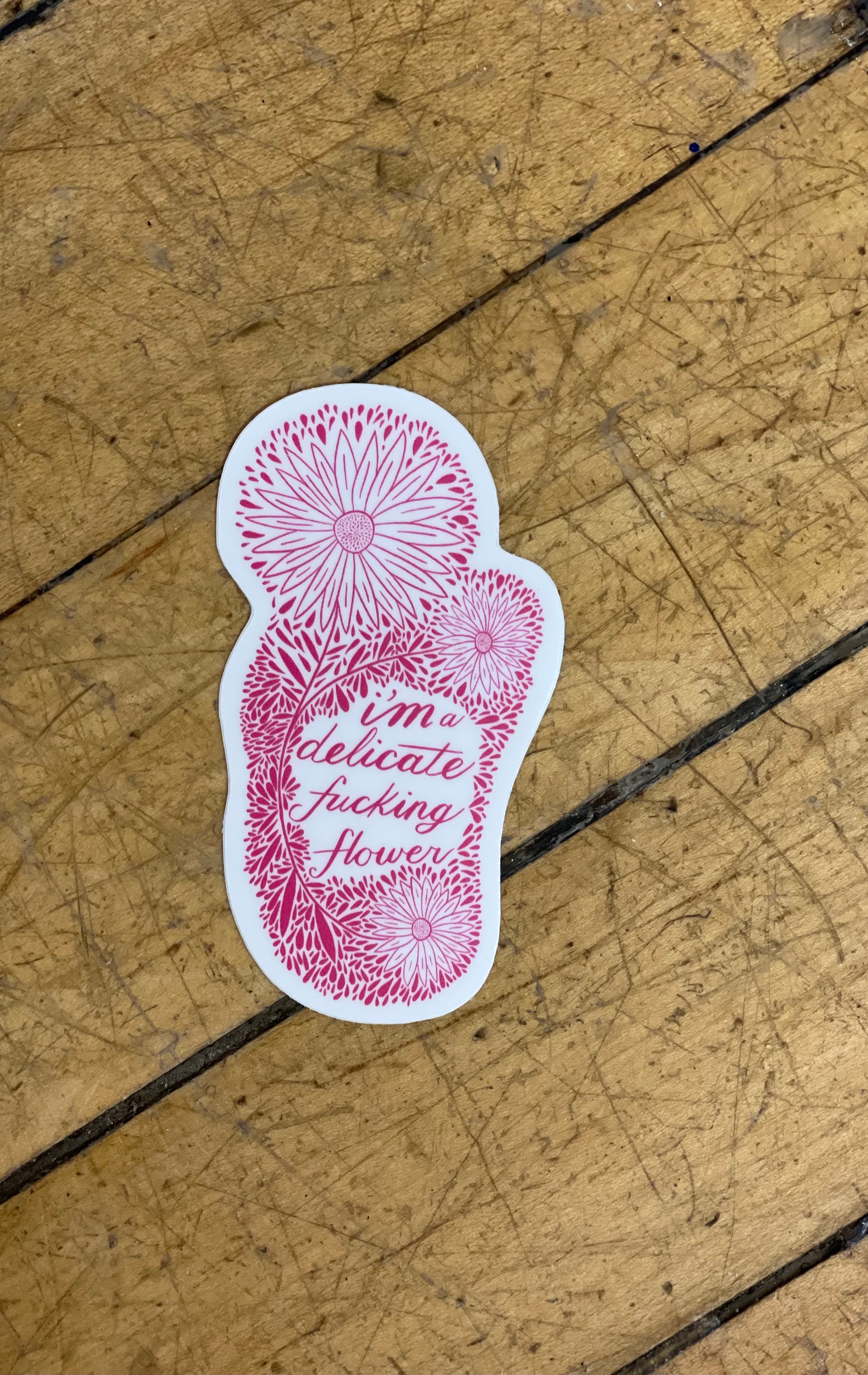 I'm a Delicate Sticker-Stickers-nice enough-The Silo Boutique, Women's Fashion Boutique Located in Warren and Grand Forks North Dakota