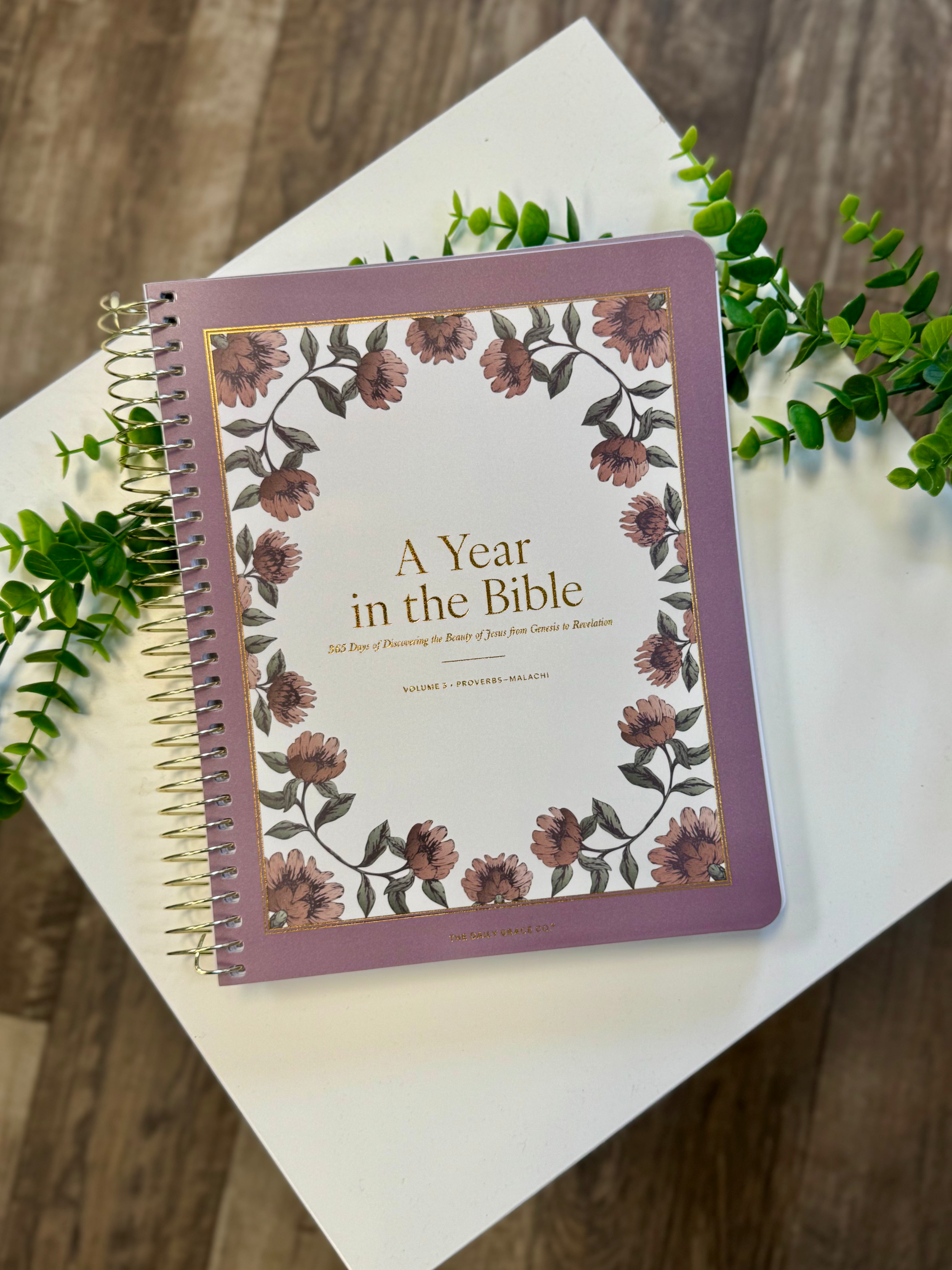 A Year in the Bible Volume 3-Books-Daily Grace-The Silo Boutique, Women's Fashion Boutique Located in Warren and Grand Forks North Dakota