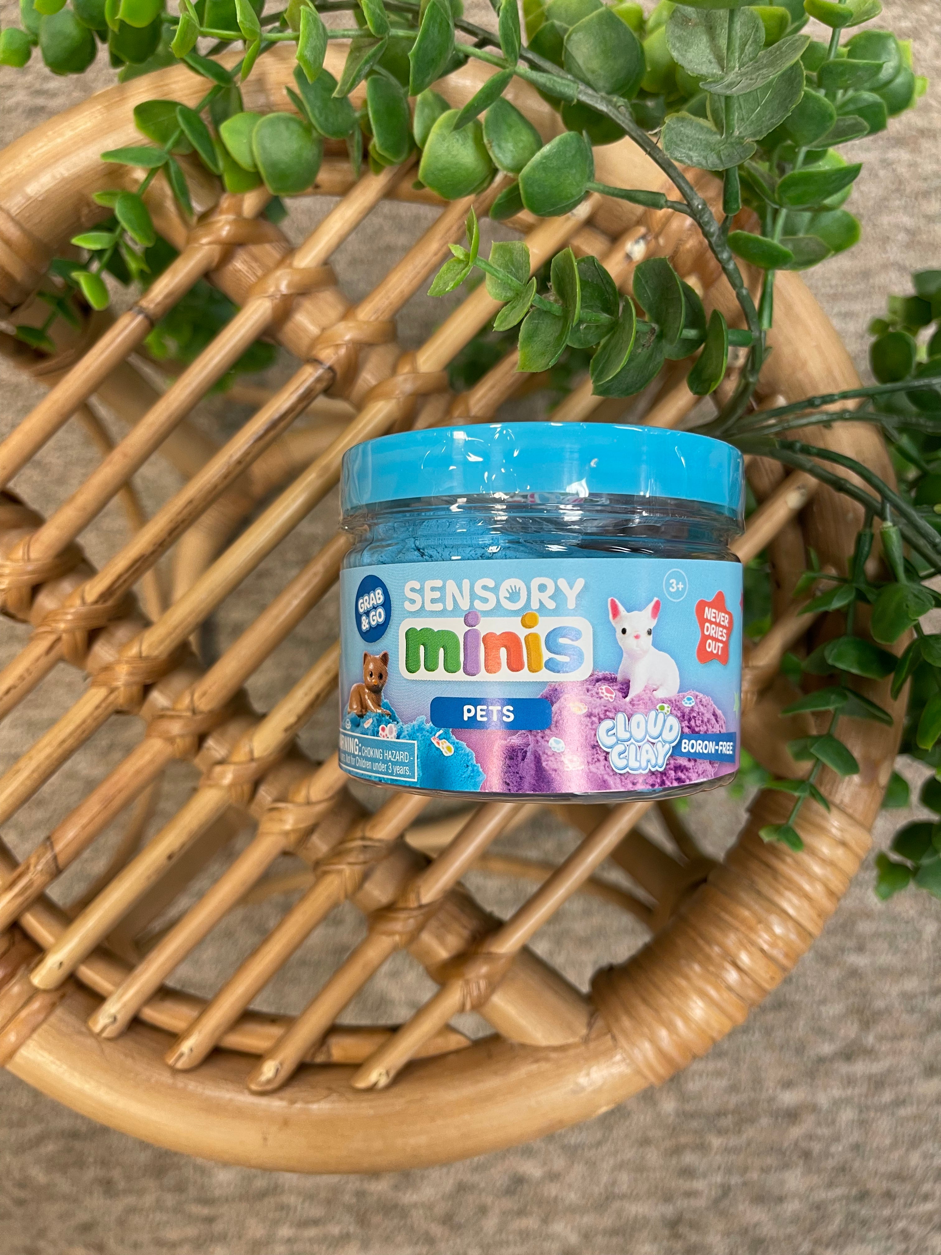 Sensory Mini Cloud Clay-Pets-bubbles-faire-The Silo Boutique, Women's Fashion Boutique Located in Warren and Grand Forks North Dakota