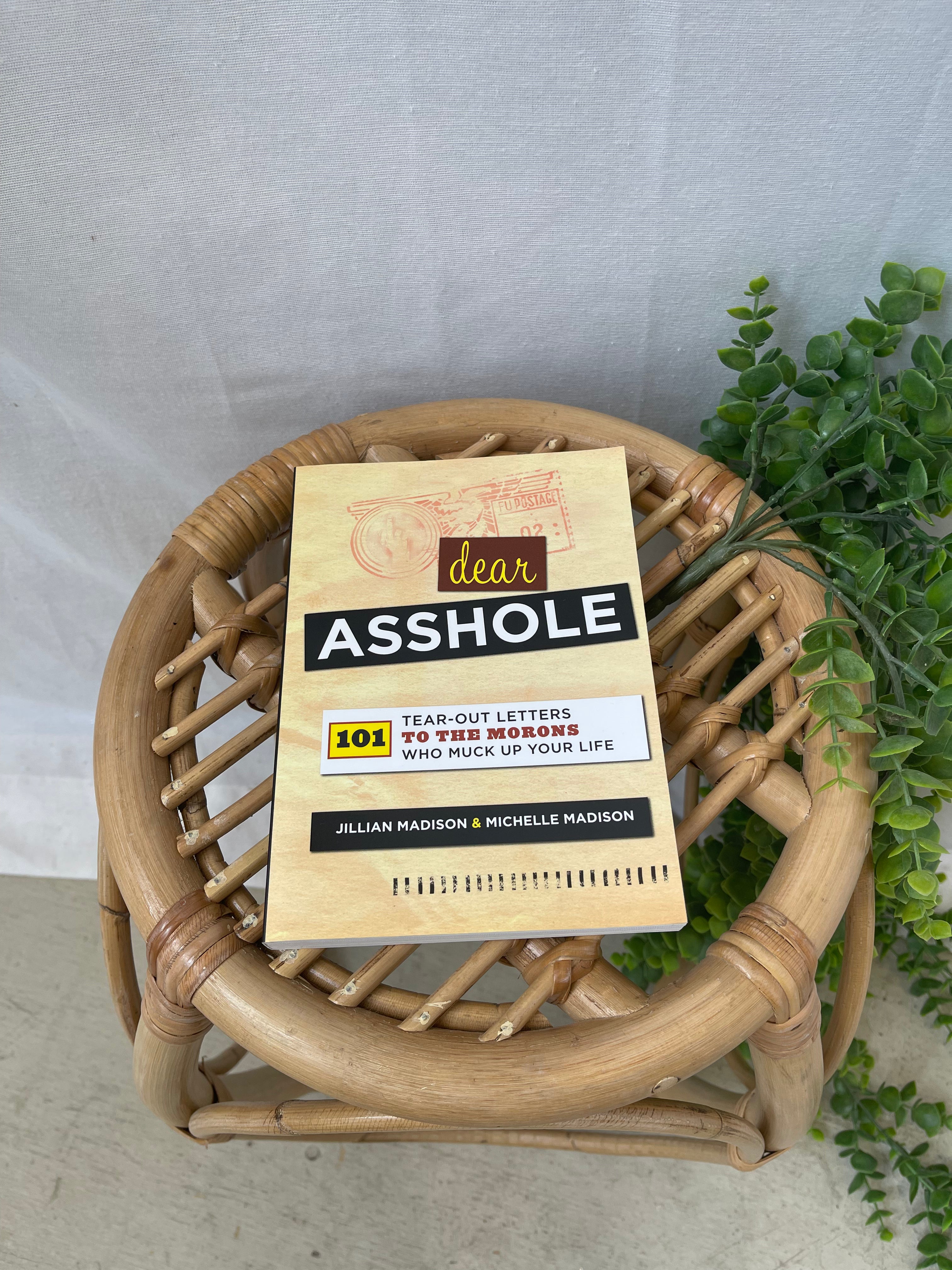 Dear Asshole Book-Books-Simon-The Silo Boutique, Women's Fashion Boutique Located in Warren and Grand Forks North Dakota