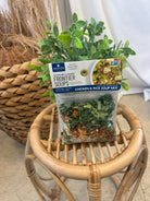 Kentucky Homestead Chicken & Rice Soup Mix-soups-Fair-The Silo Boutique, Women's Fashion Boutique Located in Warren and Grand Forks North Dakota