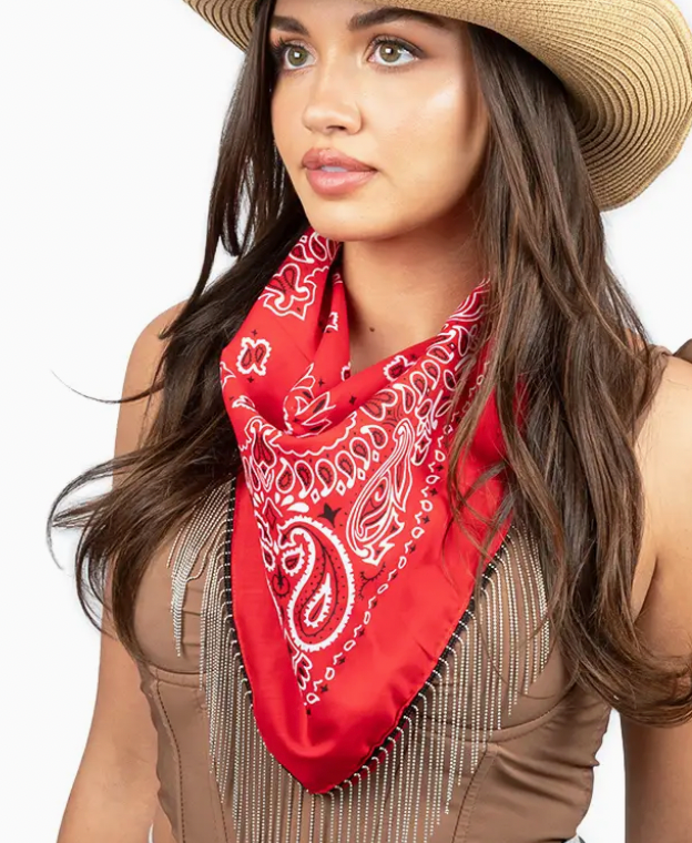 Bling Fringe Scarf-Final Sale-Scarves-david and young-The Silo Boutique, Women's Fashion Boutique Located in Warren and Grand Forks North Dakota